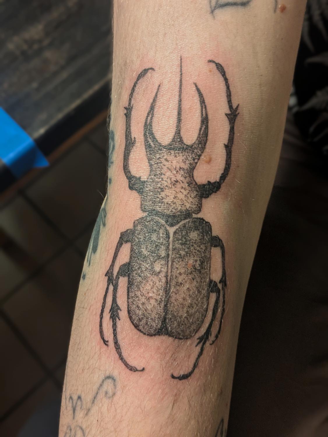 Beetle